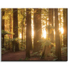 Canvas Print Sun Rays Forest Trees 50x40 cm