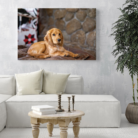 Canvas Print Animals Dog 40x30 cm