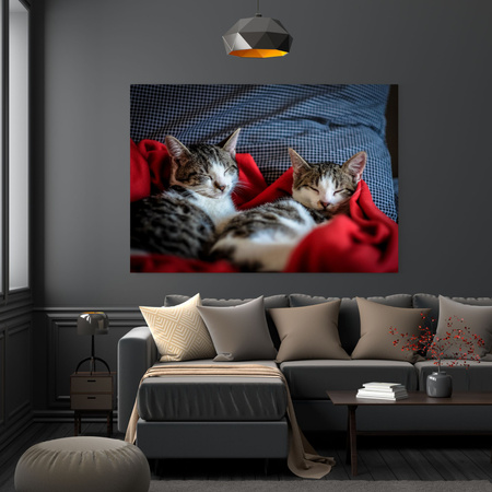 Canvas Print Animals Sleeping Kittens 40x30 cm