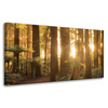 Canvas Print Sun Rays Forest Trees 80x40 cm