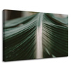 Canvas Print Nature Palm Leaf 90x60