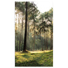 Canvas Print Forest Trees Sun Nature 70x120 cm