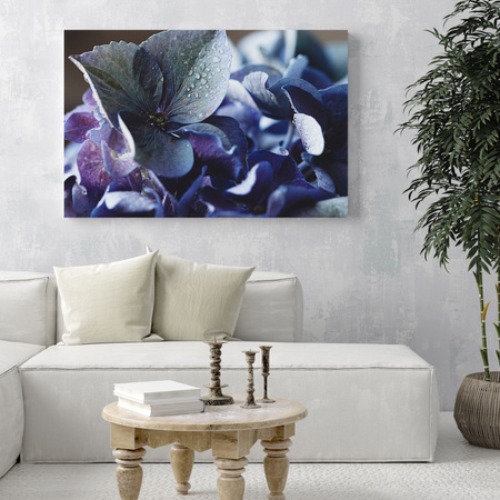 Canvas Print Botany Blue Hydrangea 40x30 cm