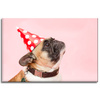 Canvas Print Youth Birthday Pug 90x60