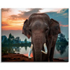 Canvas Print Beautiful Sky Elephant Nature 100x80 cm