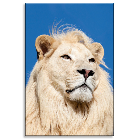 Canvas Print Beautiful Bright Lion Hair Nature 80x120 cm