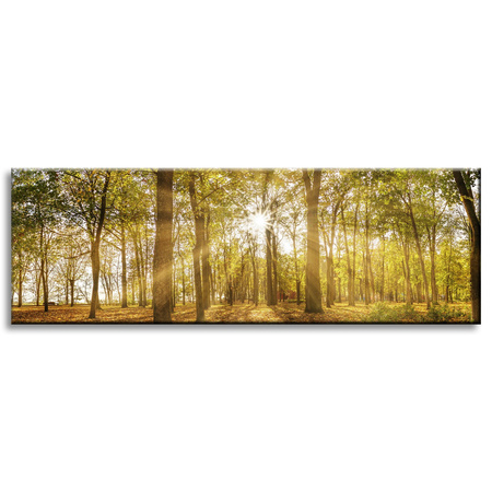 Canvas Print Sun Between Trees in the Forest 120x40 cm