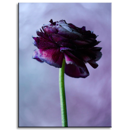 Canvas Print Botanical Purple Flower 30x40 cm