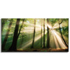 Canvas Print Sun in the Forest Trees Nature 80x40 cm