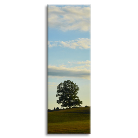 Canvas Print Nature Tree in Field 40x120 cm