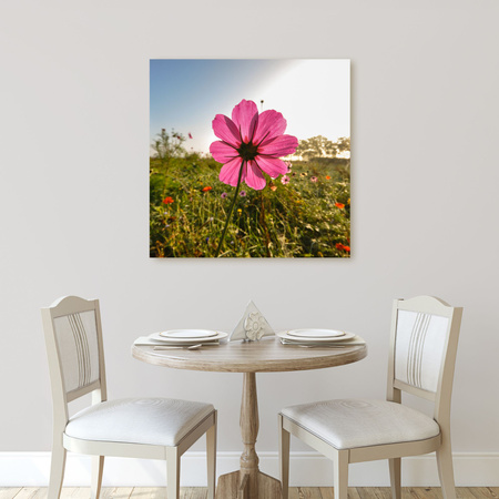 Canvas Print Botanical Pink Flower 40x40 cm