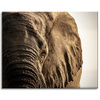 Canvas Print Elephant Face Eye Nature 100x80 cm