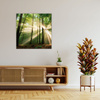 Canvas Print Sun in the Forest Trees Nature 60X60 cm