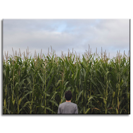 Canvas Print Nature Corn Field 40x30 cm