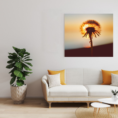 Canvas Print Botany Dandelion 40x40 cm