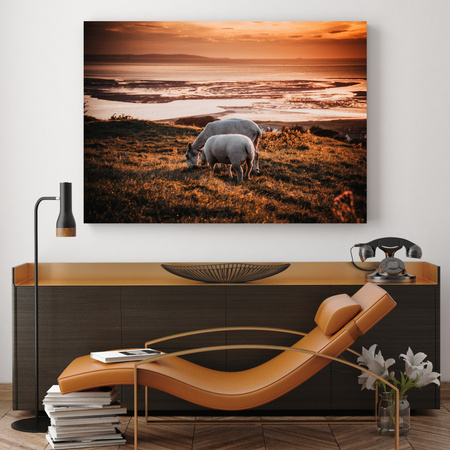 Canvas Print Animals Grazing Sheep 40x30 cm