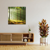Canvas Print Light in the Forest Nature Trees 90X90 cm