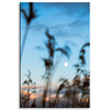 Canvas Print Nature Glade Meadow Sunrise 80x120