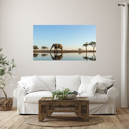 Canvas Print Elephant Drinking Water in Natural Habitat 100x80 cm