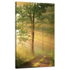 Canvas Print Sunlight Forest Path Nature 70x120 cm