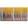 Canvas Print Birch Trees Autumn Yellow Leaves 80x40 cm