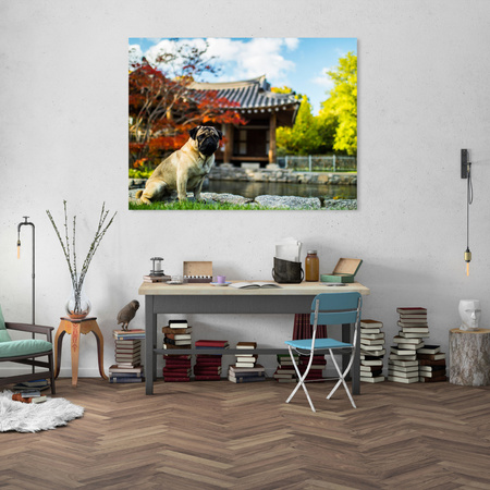 Canvas Print Animals Dog_2 40x30 cm