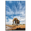 Canvas Print Big Elephant on the Savannah Sand 80x120 cm