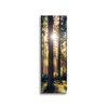 Canvas Print Forest Sun Trees Spring Morning 40x120 cm