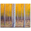 Canvas Print Birches in Autumn Yellow Leaves 100x80 cm