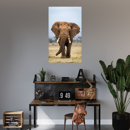 Canvas Print Elephant Africa Art Nature 80x120 cm
