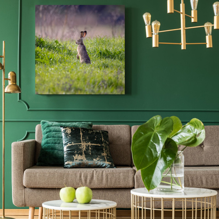 Canvas Print Animals Hare 40x40 cm