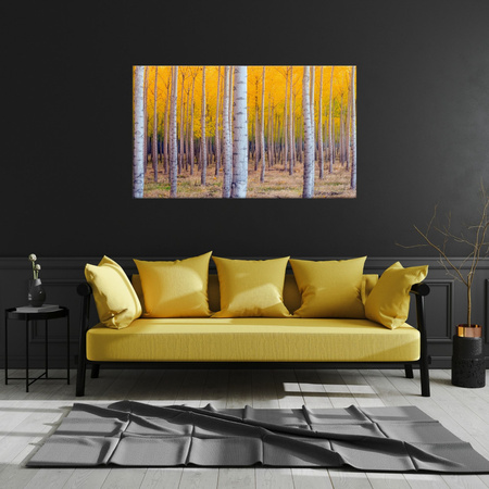 Canvas Print Birch Trees Autumn Yellow Leaves 70x50 cm