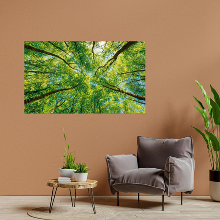 Canvas Print Trees Leaves Nature Forest Spring 100x60 cm