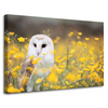 Canvas Print White Owl Flowers Nature Meadow 90x60