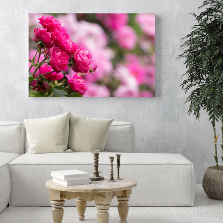 Canvas Print Botanical Pink Roses 40x30 cm