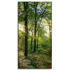 Canvas Print Sun Forest Trees Rays of Light 40x80 cm