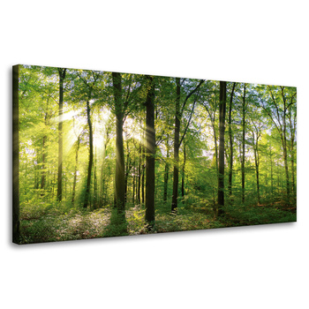 Canvas Print Sun Forest Trees Rays of Light 80x40 cm