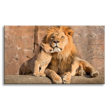 Canvas Print Lion and Lion Cub Nature Rocks Light 100x80 cm