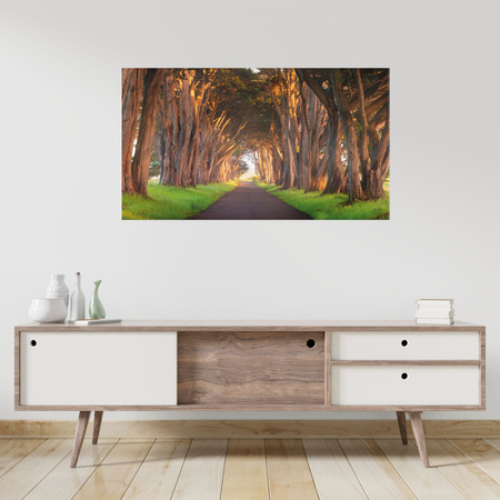 Canvas Print Path Between Trees Nature 120x80 cm