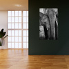 Canvas Print Black and White Elephant Couple Nature 80x120 cm