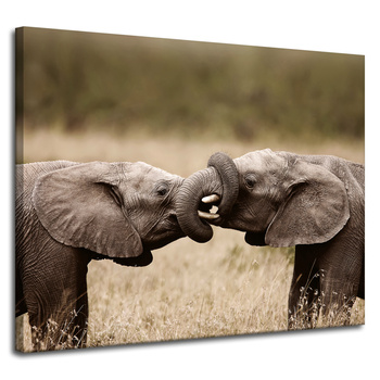 Canvas Print Elephant Meeting Africa Nature 100x80 cm
