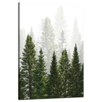 Canvas Print Rain Forest Nature Trees 80x120 cm